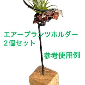 エアプランツ ホルダー 2個セット