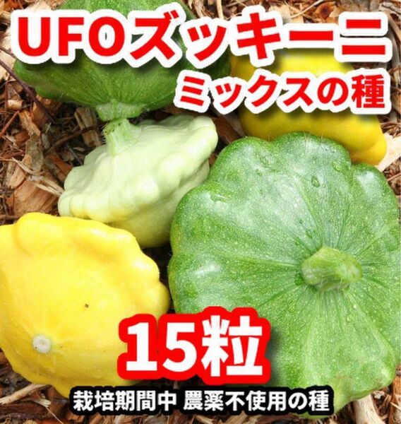 UFOズッキーニmixの種【15粒】★栽培期間中農薬不使用の種!