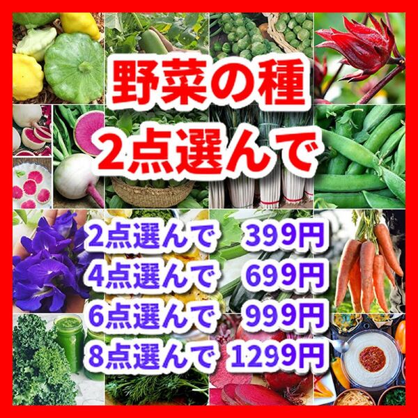 春にまく野菜の種・2点選べる★栽培期間中農薬不使用の種
