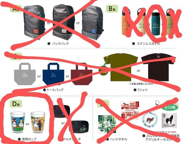 JRA welcome チャンス 2025年 B賞 D賞