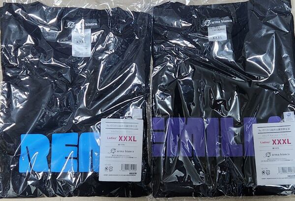 Re ゼロから始める異世界生活 レム・エミリア ちょこんと! Tシャツ