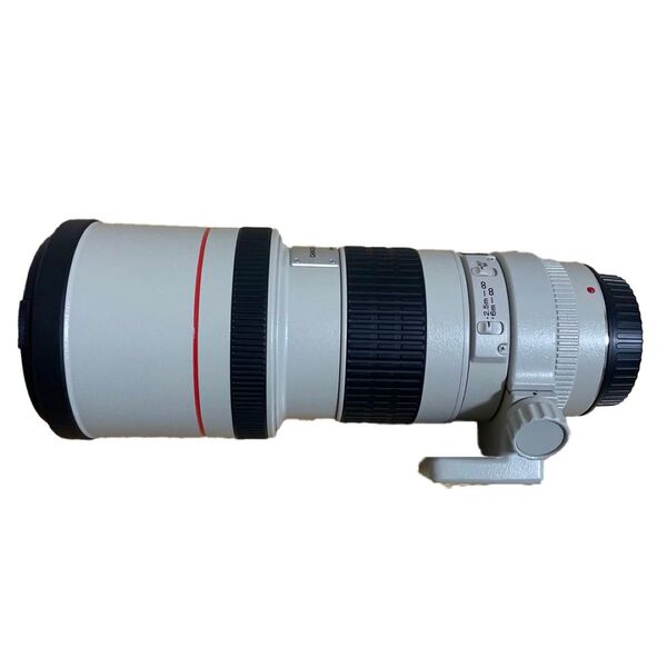 【即日発送】Canon EF300mm F4 L USM キャノン
