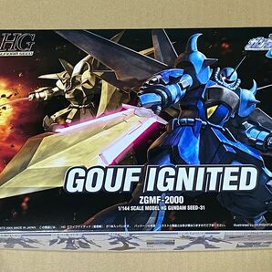 HG 1/144 グフイグナイテッド(量産機)