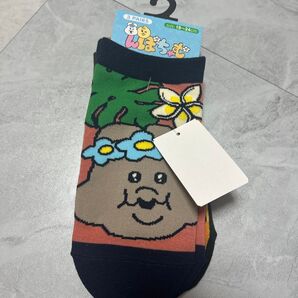 んぽちゃむ しまむら ソックス 靴下