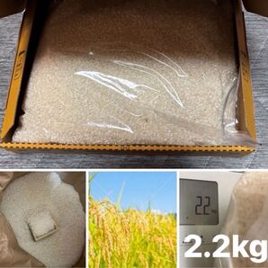 気持ち多め 美味しいお米 2kg ヒノヒカリ 精米済み コンパクトbox発送 米
