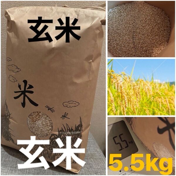 気持ち多め 美味しいお米 5kg ヒノヒカリ 玄米 精米不可