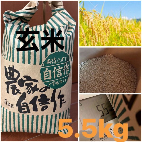 気持ち多め 美味しいお米 5kg ヒノヒカリ 玄米 精米不可