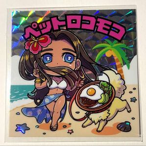 マスシンマン ペットロコモコ 自作シール