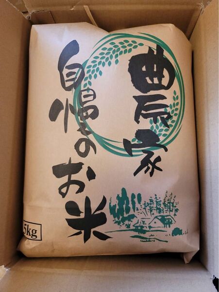 令和6年キヌヒカリ 滋賀県産キヌヒカリ 5kg 滋賀県 キヌヒカリ 米 白米