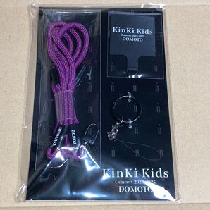 新品 フォンタブ KinKi Kids Concert 2024-2025 DOMOTO グッズ ライブ