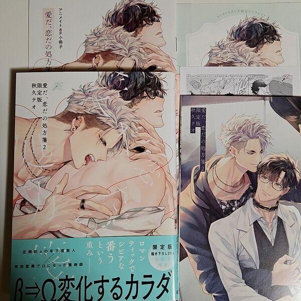 愛だ、恋だの処方箋 2 限定版 アニメイト特典小冊子 コミコミ特典リーフレット ペーパー付き