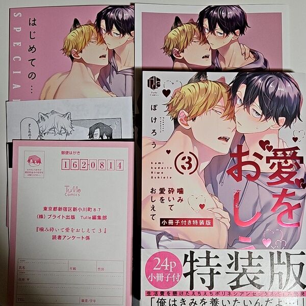 噛み砕いて愛をおしえて 3 小冊子付き特装版 アニメイト特典リーフレット+ペーパー付き ぽけろう