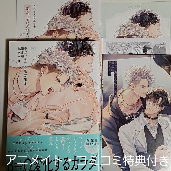 愛だ、恋だの処方箋 2 限定版 アニメイト特典小冊子 コミコミ特典リーフレット ペーパー付き 秋久テオ