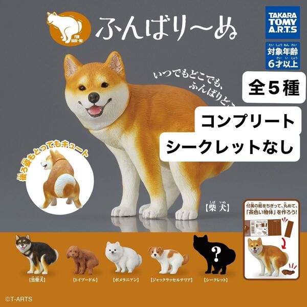 ふんばりーぬ ふんばり~ぬ 5種 コンプセット ガチャ タカラトミーアーツ カプセルトイ フィギュア 犬