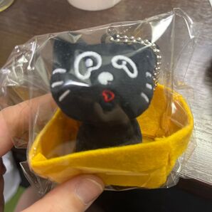 赤ちゃんキヨ猫 アクリル缶バッジ4種 【24時間以内発送】