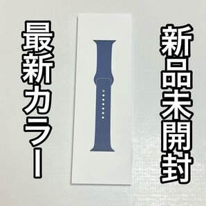 最新カラー Apple Watch純正スポーツバンド 42mm