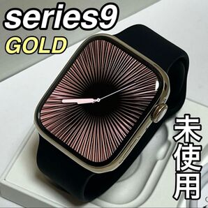 【極上品】Apple Watch series9 45mm ステンレスモデル