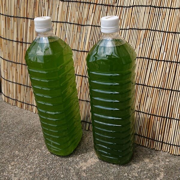 青水グリーンウォーター350ml