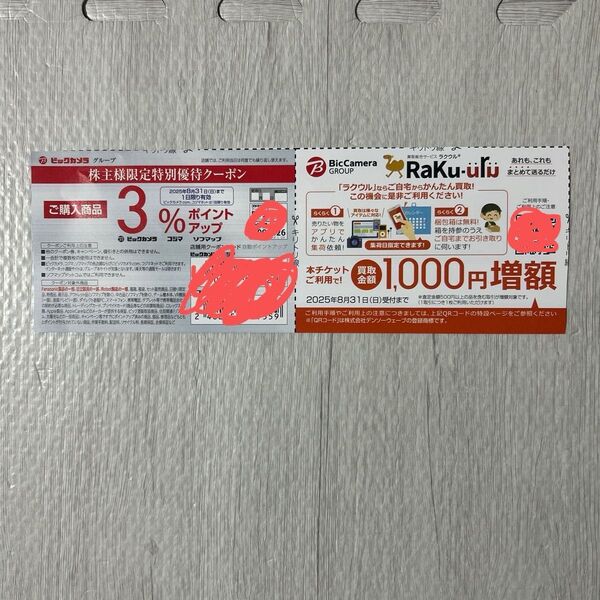 ビックカメラグループ 特別優待クーポン ポイントアップクーポンラクウルのチケット付き