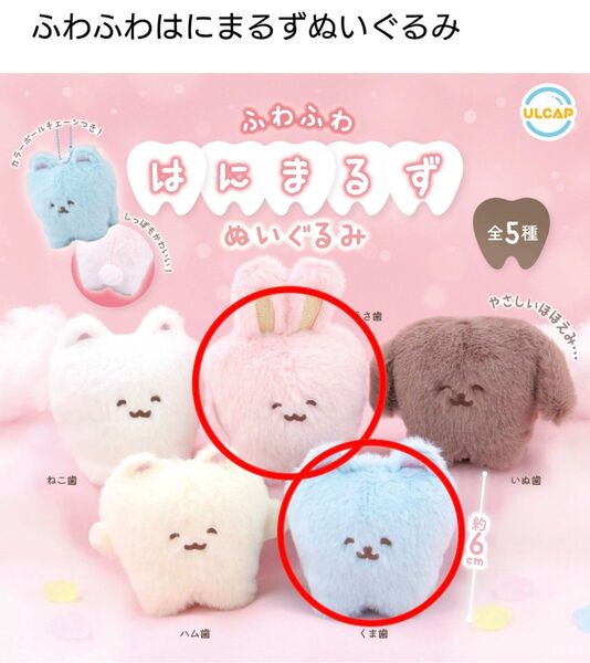 カプセルトイ はにまるず うさ歯 くま歯