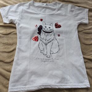 Nyans World 猫 ハート プリントTシャツ