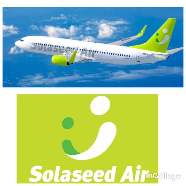 往復航空券 6/10ー6/12 神戸ー那覇 ソラシドエア 沖縄旅行