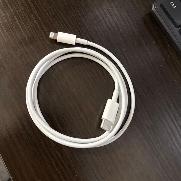 iPhone lightning 純正 Type-C データ転送ケーブル 充電 Lightningケーブル 充電ケーブル