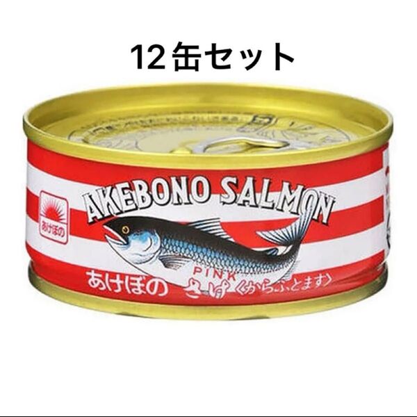あけぼの さけ缶詰 (からふとます水煮) 90g ×12缶セット マルハニチロ サーモン 鮭 缶