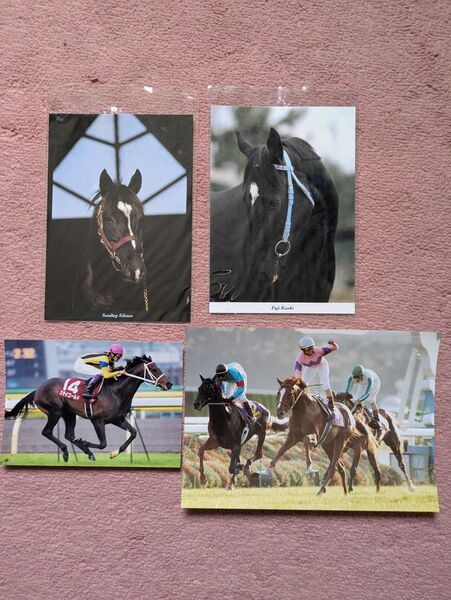 競馬カード 写真 4枚セット サンデーサイレンス、フジキセキ、スティゴールド、ナリタトップロード