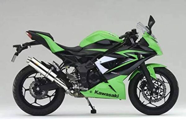 新品 未使用 在庫有平日即日発送 Realize カワサキ Ninja250SL バイクマフラー Aria カール(TypeC)