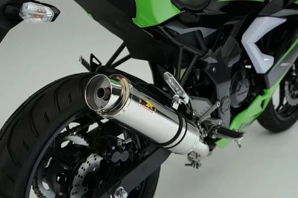 新品未使用在庫有平日即日発送 Realize カワサキ Ninja250SL バイクマフラー Aria スラッシュ(TypeS)