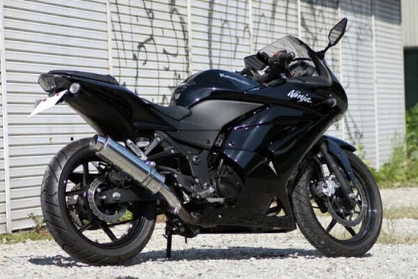 新品 未使用 在庫有平日即日発送 Realize カワサキ Ninja250REX250 Aria ア(TypeS)バイクマフラー