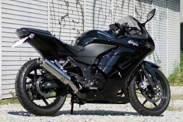 新品 未使用 在庫有平日即日発送 Realize カワサキ Ninja250R ニンジャ250R Aria (TypeC)マフラー