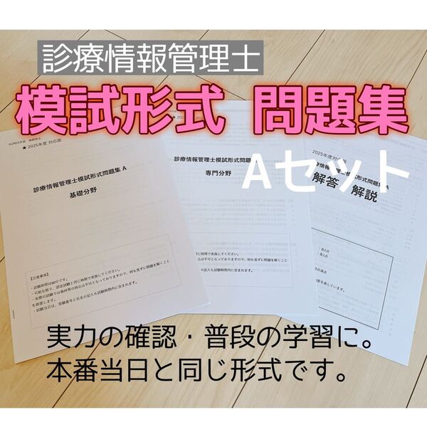 【即日発送】診療情報管理士 試験対策 自作模試 基礎分野 専門分野 Aセット