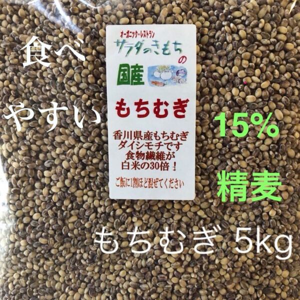 国産もち麦5kg食べやすい15%精麦