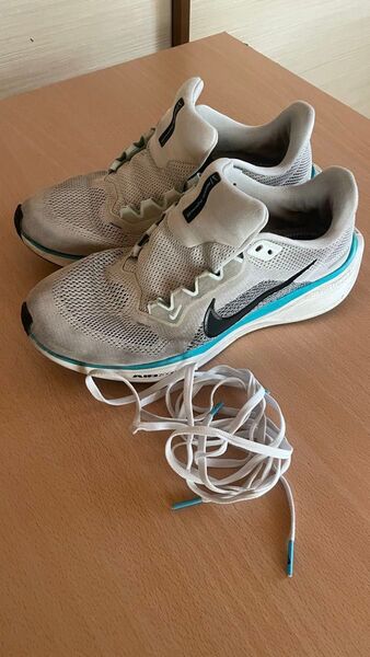 NIKE ペガサス41