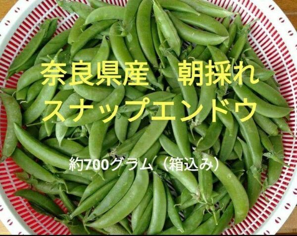 奈良県産 農家直送 新鮮 スナップエンドウ