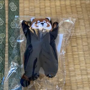 グラニフ イカクチャーム