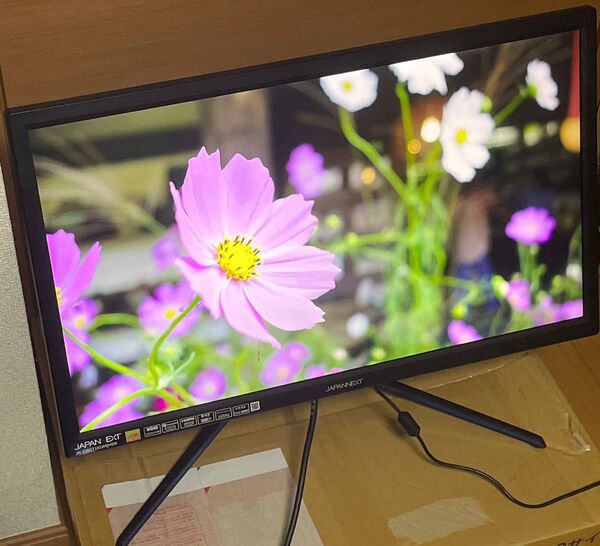 JAPANNEXT ゲーミングモニター 23.8インチ WQHD 165Hz MPRT1ms JN-238GT165WQHDR
