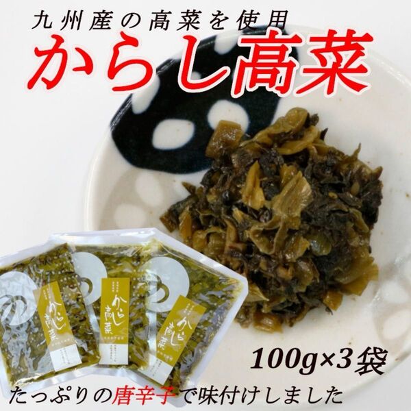 辛子高菜 100g×3袋 つの農産 高菜 九州産 辛子 唐辛子 ご飯のお供 お茶請け トッピング ラーメン