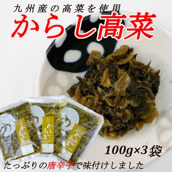 辛子高菜 100g×3袋 つの農産 高菜 九州産 辛子 唐辛子 ご飯のお供 お茶請け トッピング ラーメン