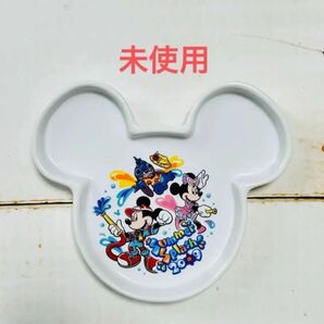 【未使用】ディズニーランド 2009 サマー スプラッシュ スーベニアプレート