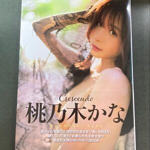 Crescendo 桃乃木かな 写真集