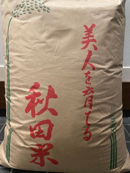 令和6年 秋田県 農家 直販 保有米 貯蔵米 ひとめぼれ A 1等米 お米