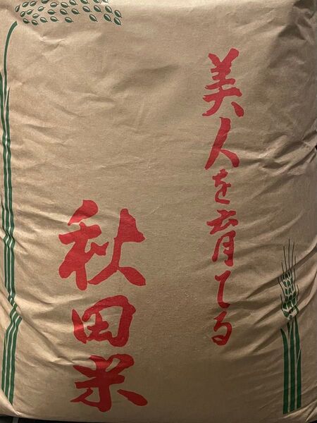 令和6年 秋田県 農家 直販 保有米 貯蔵米 ひとめぼれ A 1等米 お米