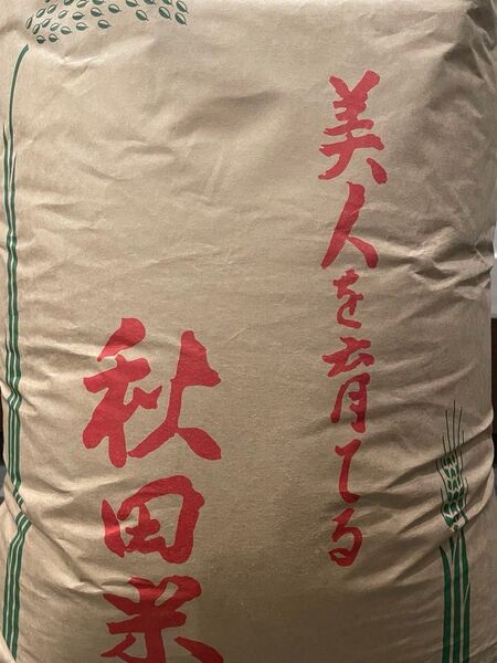 令和6年 秋田県 農家 直販 保有米 貯蔵米 ひとめぼれ A 1等米 お米