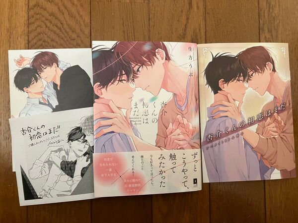 杏介くんの初恋はまだ 生方うぶ アニメイト 小冊子 イラストカード ペーパー付