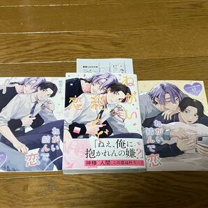 ねがい結んで恋 熊雪ふる とらのあな 小冊子 リーフレット ペーパー付