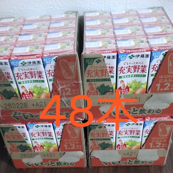 48本 伊藤園 ぐいっと飲める充実野菜 200ml 野菜ジュース 栄養補給ドリンク 緑黄色野菜ミックス 紙パック