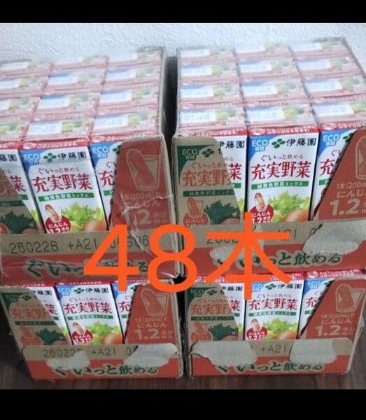 48本 伊藤園 ぐいっと飲める充実野菜 200ml 野菜ジュース 栄養補給ドリンク 緑黄色野菜ミックス 紙パック